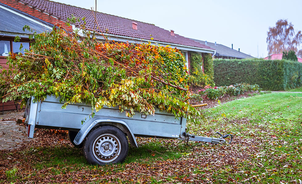 Mitten And Son Disposal is happy to help with all sizes of yard waste removal jobs.